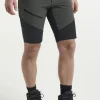 Himalaya Stretch Shorts